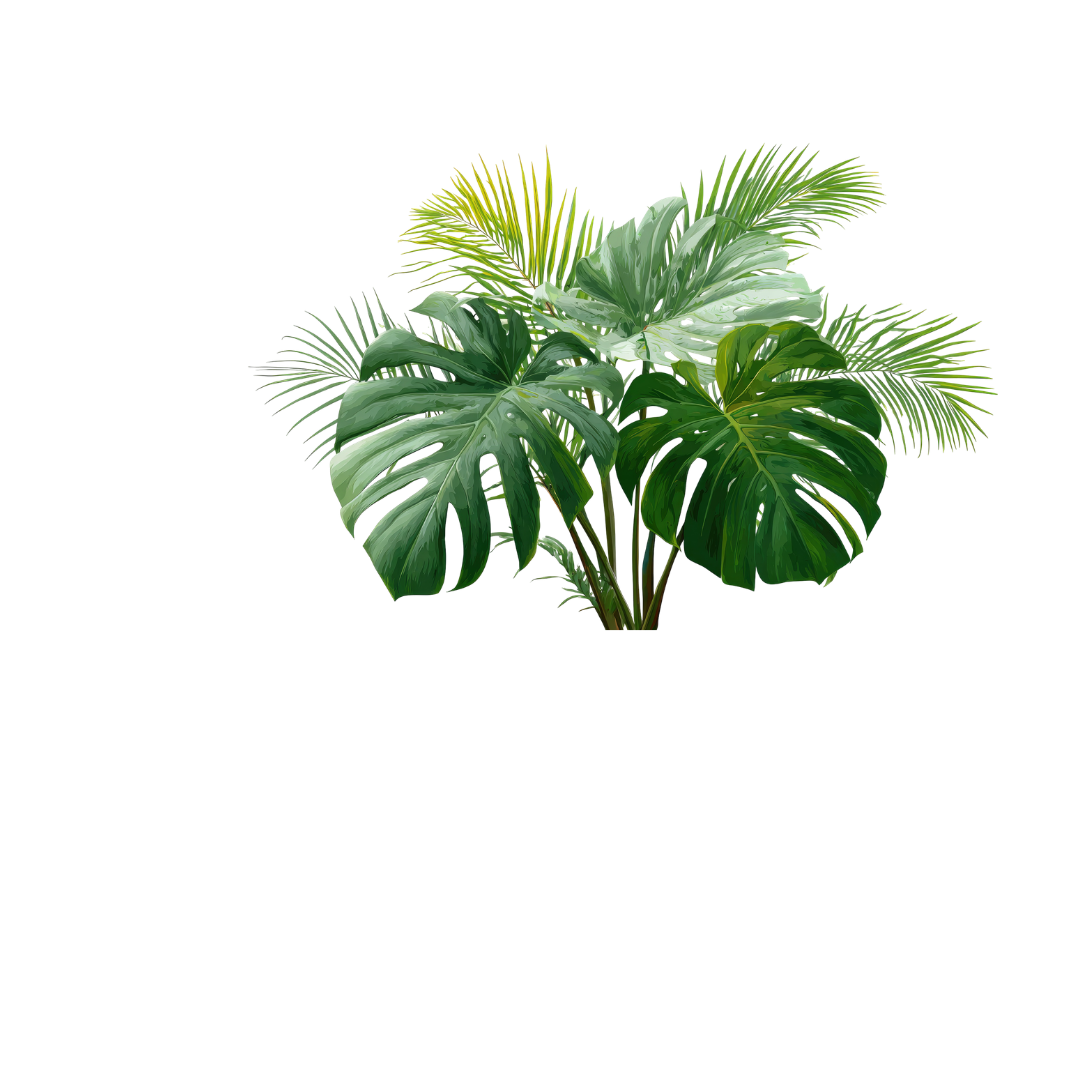 Decorative Plant